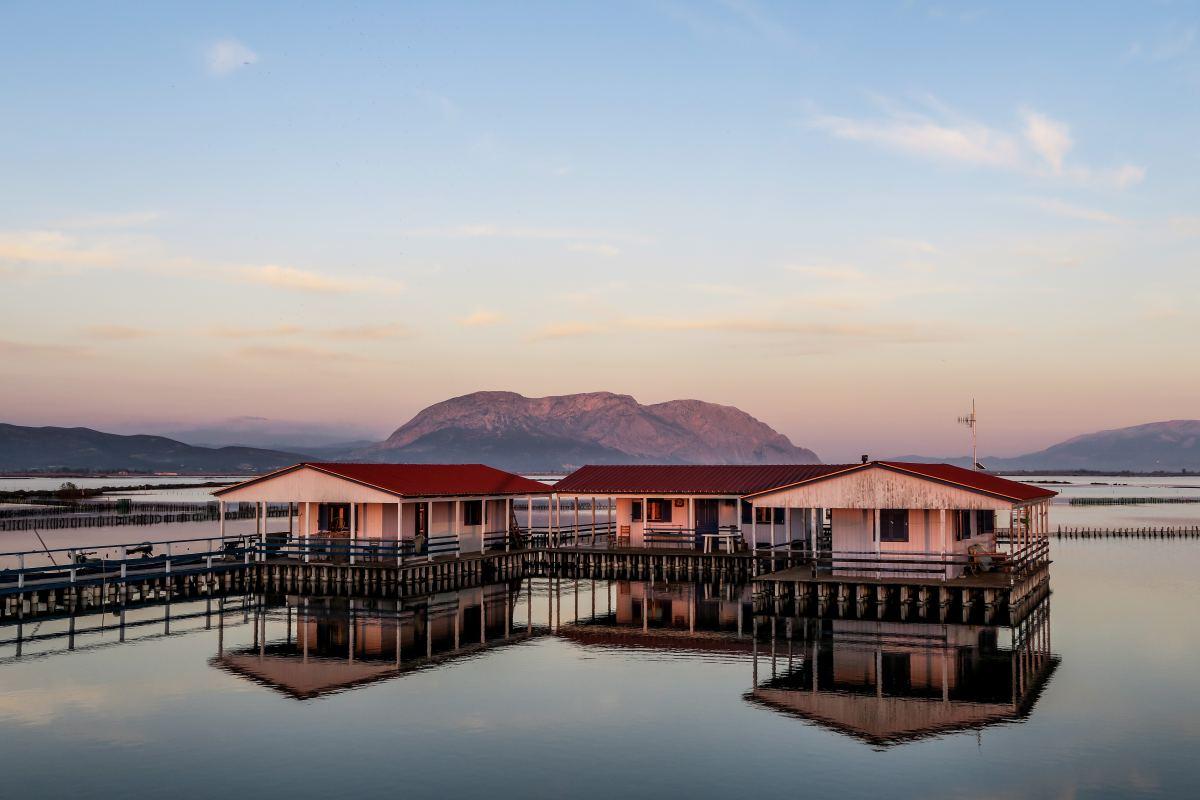 predis集群提示MOVED报错解决