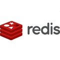 Onex ecstore开启redis配置教程（redis4.0.9）