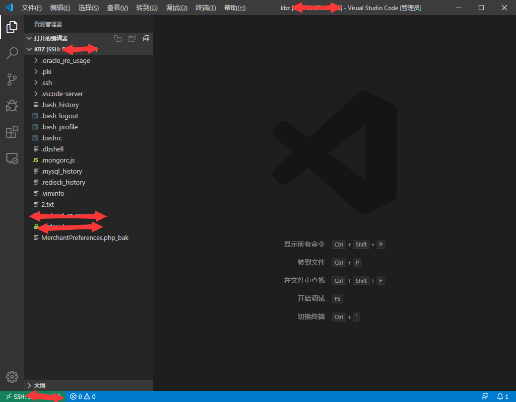 如何使用vscode 在远程服务器上直接写代码-搬砖酱的笔记